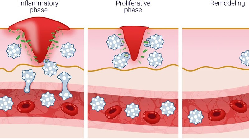 5-Amino-1MQ Peptide Injection Tissue repair and regeneration | Shaanxi BLOOM Tech Co., Ltd 5-Amino-1MQ Peptide Injection Tissue repair and regeneration | Shaanxi BLOOM Tech Co., Ltd